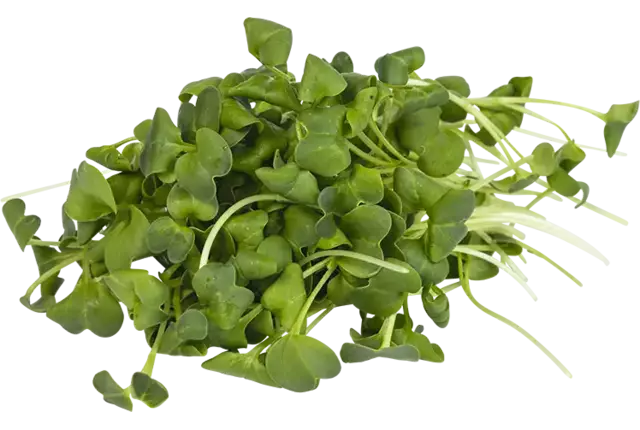 Radijs cress 50gr stuk